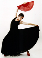 Flamenco Dancer